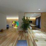 House by Ryntovt Design