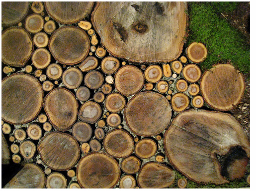 1-wood-slice-walkway