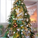 New Year - a miracle