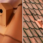 Nesting box on the roof of Klaas Kuiken