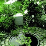 Decorative ponds