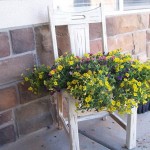 Old chair as a stand for flowerpot