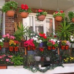 How beautiful options to arrange a balcony with flowers