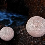 Lamps and Sponge Sponge Up