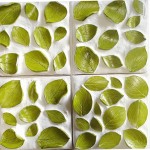 Cute terracotta tiles inspired by nature