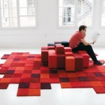 Fluffy and fun carpets in the interior