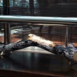 Interesting light of lacy tree