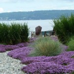 Making great landscape design and garden plots