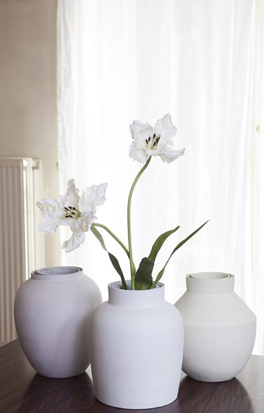 3-white-flowers