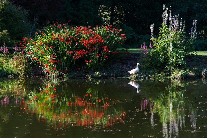 5-small-lake