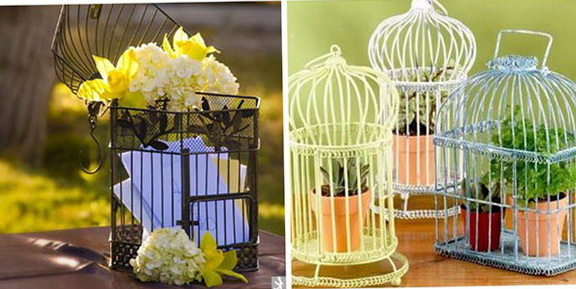 3-decoration-decor-cage-birds-interior